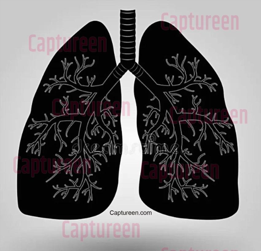 lungs rangoli