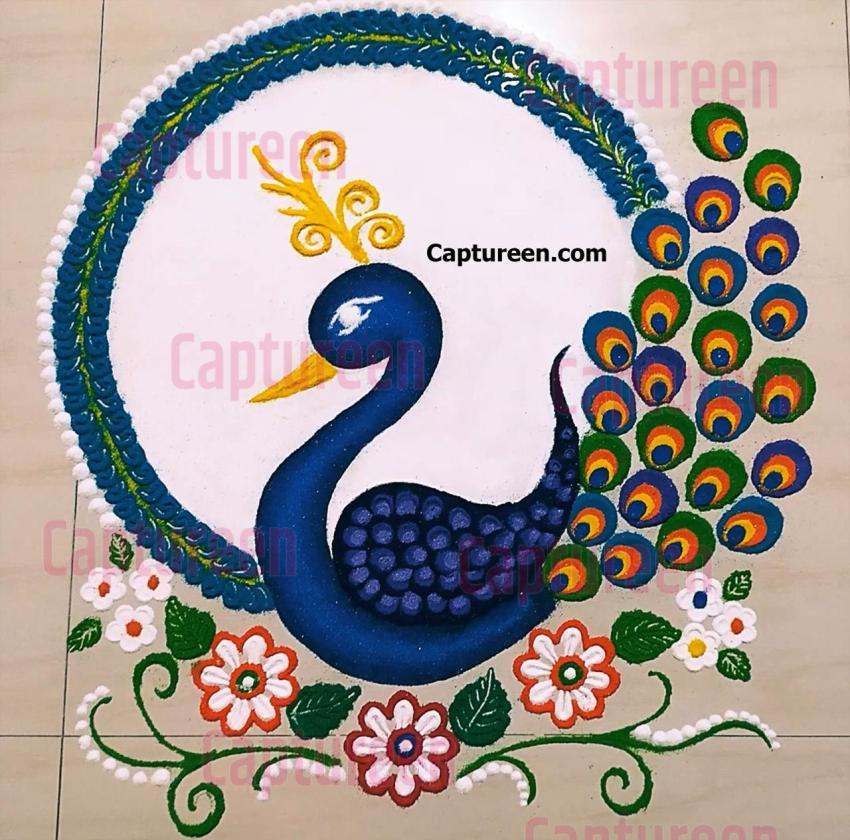 award winning peacock rangoli designs competition