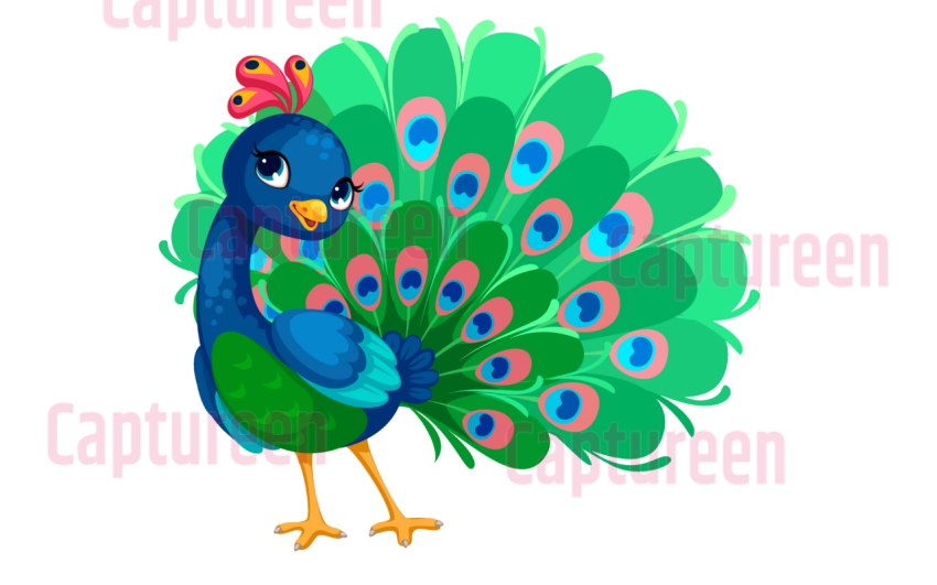 simple peacock clipart