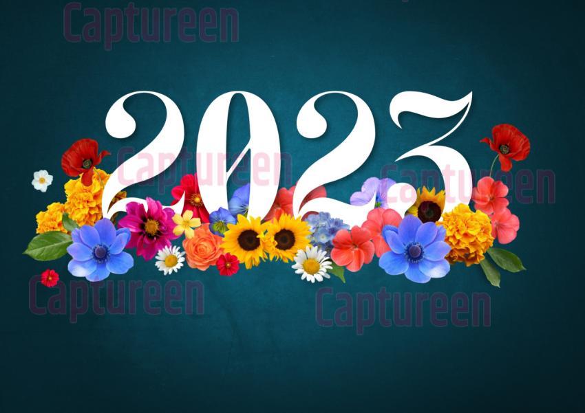 xxvidoe 2023 logo design download free