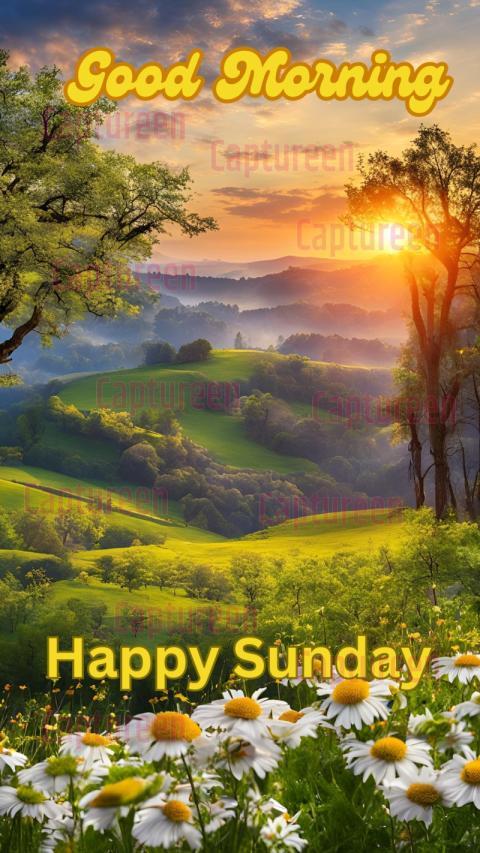 Good Morning Happy Sunday HD Images to Make Your Day Special