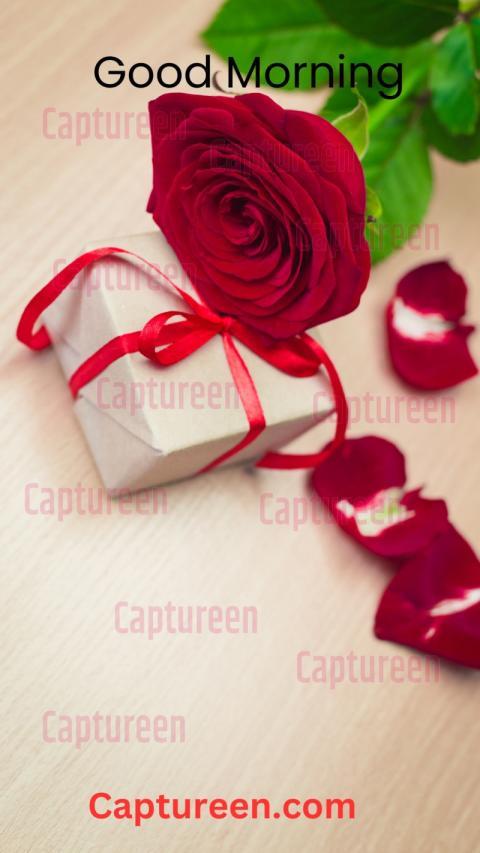 Good Morning Happy Valentine's Day Images to Share Love