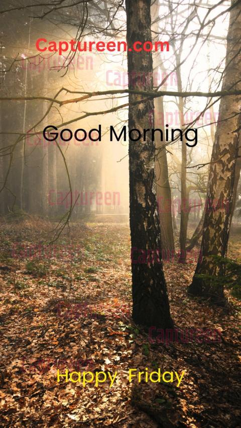 Good Morning Friday God Images for WhatsApp Display