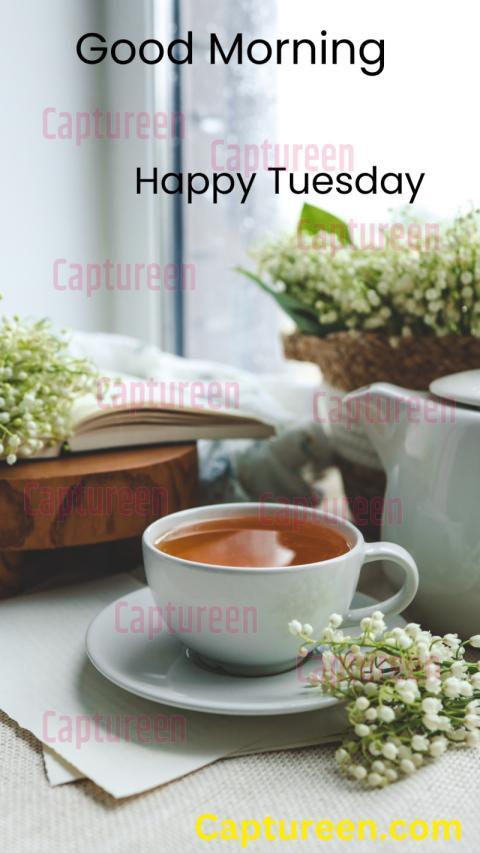 Good Morning Images Tuesday Special Showcase