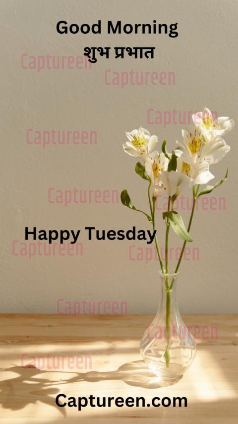 Tuesday Good Morning Images in Hindi Display