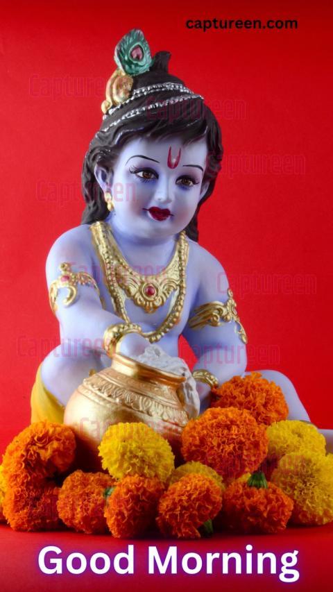 Little Krishna Good Morning Images Wishes