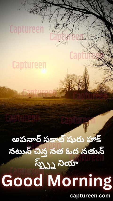 Good Morning Love Quotes Telugu