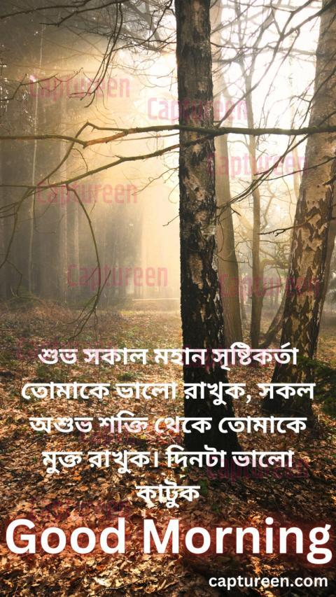 Good Morning Bangla Quotes