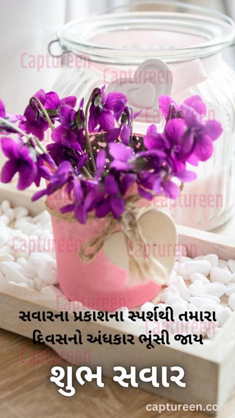 Good Morning Images Gujarati Suvichar