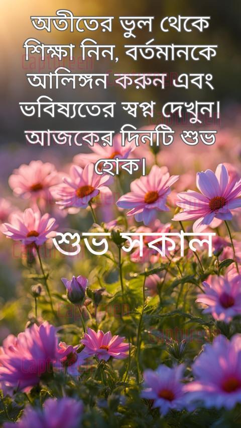 Meaningful good morning quotes in Bengali to inspire your day