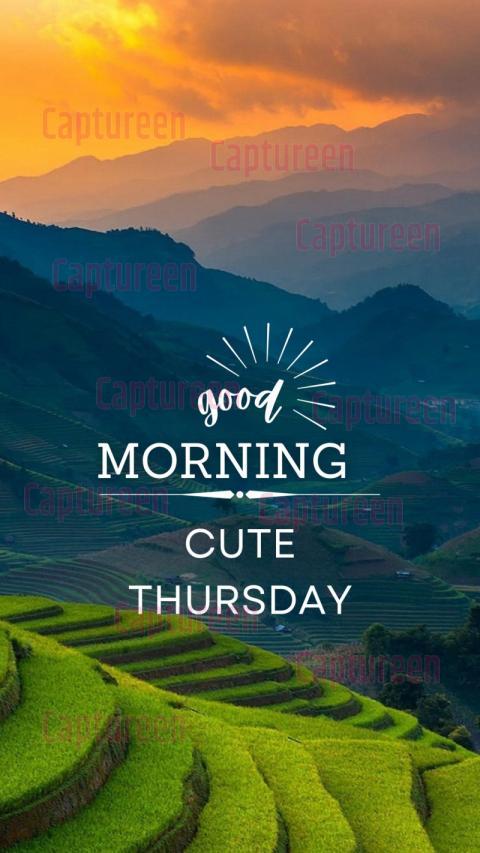 Charming Cute Good Morning Thursday Images with Flowers and Smiles