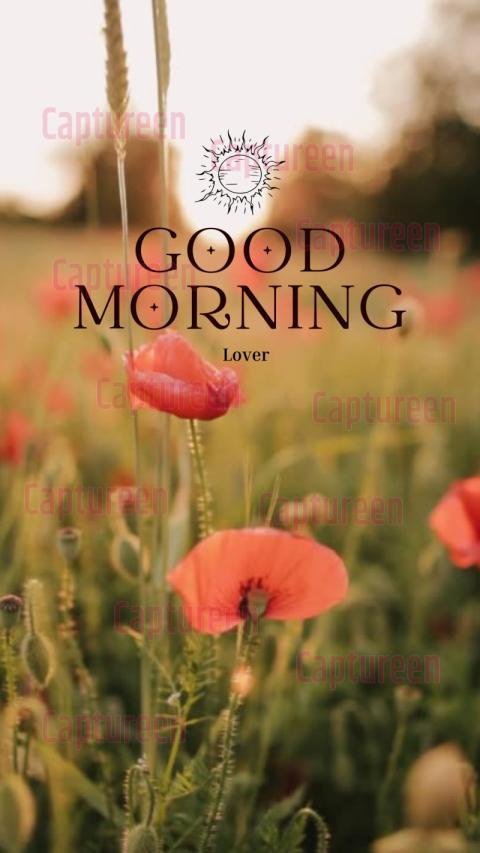 Romantic Pics of Good Morning Love with Heartfelt Messages