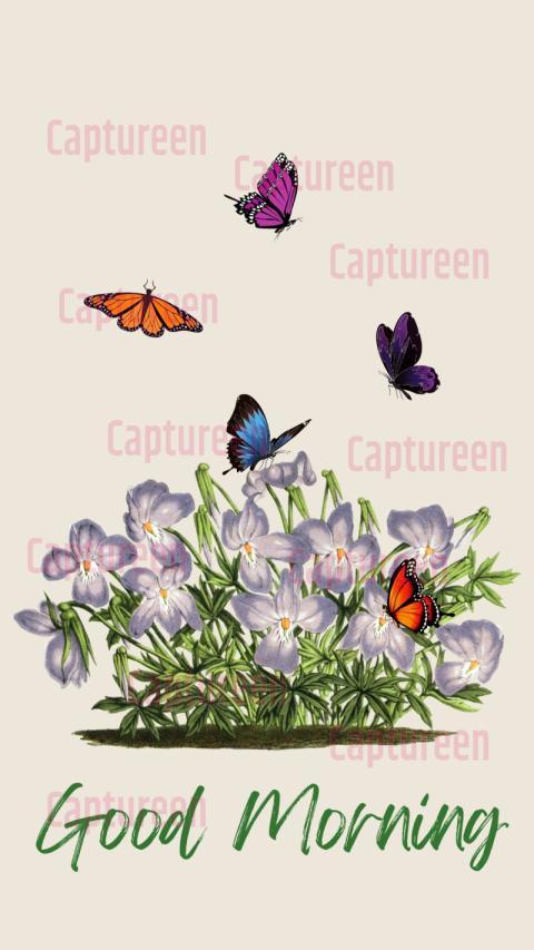 Good morning images with butterflies and lovely vibes