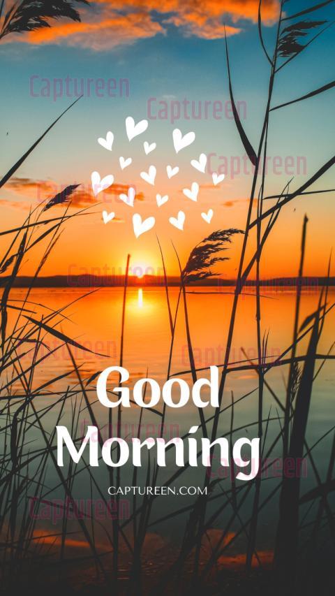 Sweet images of good morning with cheerful vibes