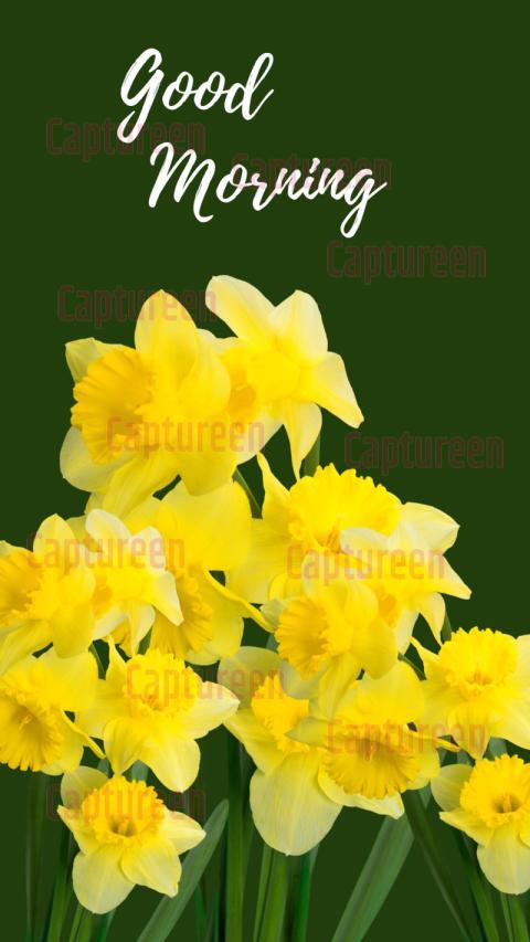 Good morning yellow flowers images to brighten your day