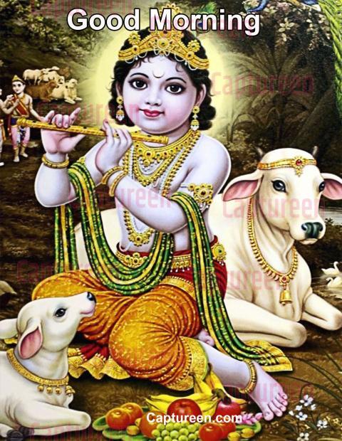 Good morning image Shri Krishna blessings