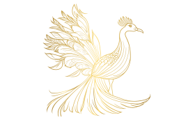 golden peacock png photo and picture